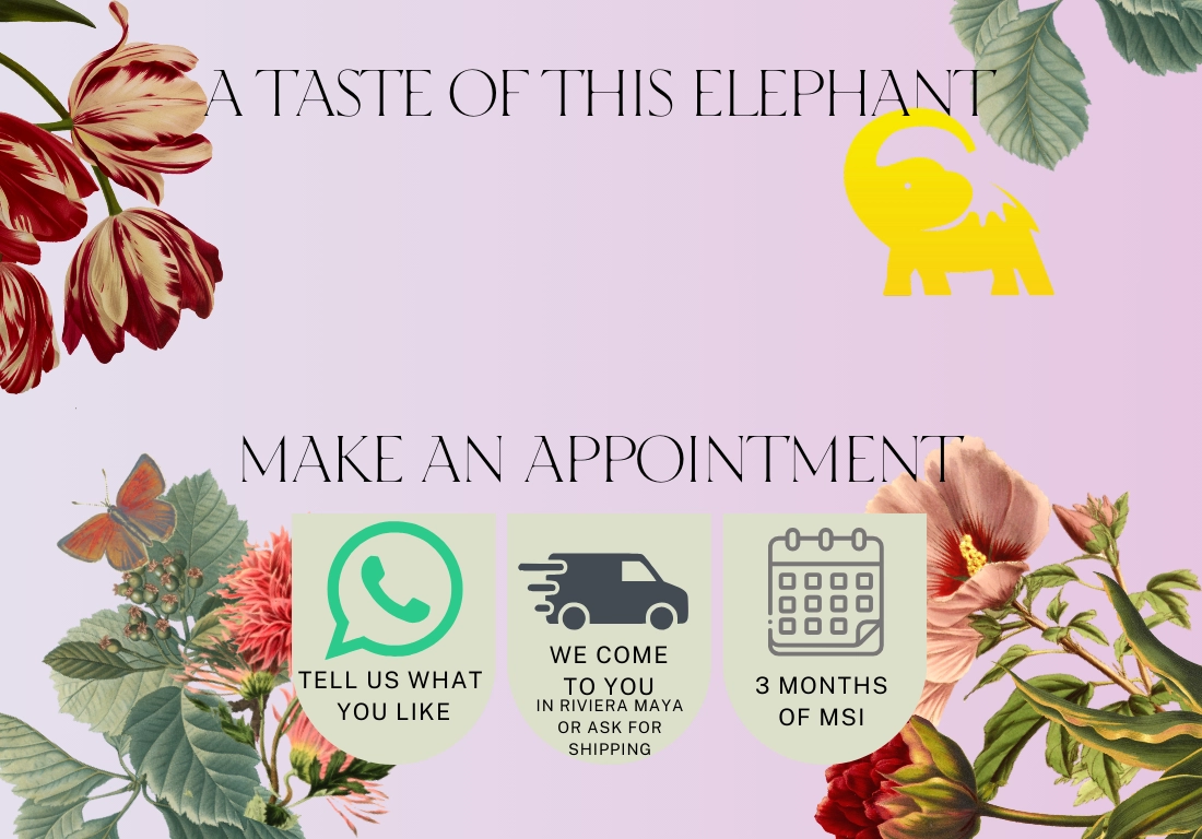 Intimate Wedding Wedding Website in ddddGreen and Red Light Floral Style